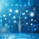 Superconductor whitepaper