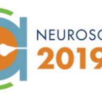 SfN 2019